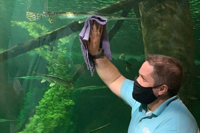 SEA LIFE Aquarium Minnesota Admission Ticket at Mall of America - Stop 2: Rainforest-style walkthrough, interactive learning, and Minnesota critters