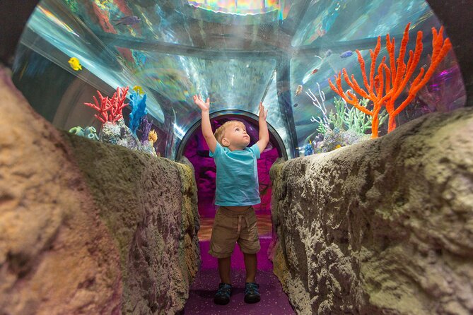 SEA LIFE Aquarium Minnesota Admission Ticket at Mall of America - Feedings and staff talks that actually help you see more