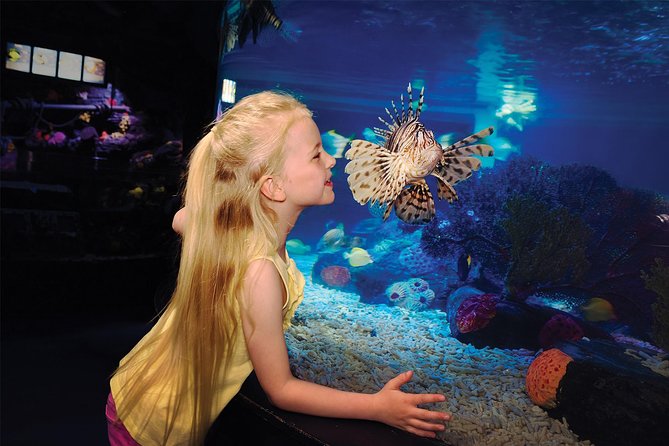 SEA LIFE Aquarium San Antonio Admission Ticket - Pair the Ocean Tunnel with the San Antonio River Walk and LEGOLAND