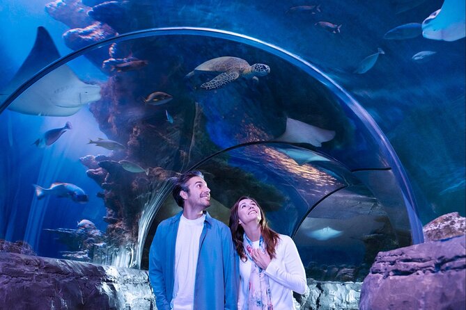 SEA LIFE Aquarium San Antonio Admission Ticket - Practical tips for mobile tickets and smooth entry