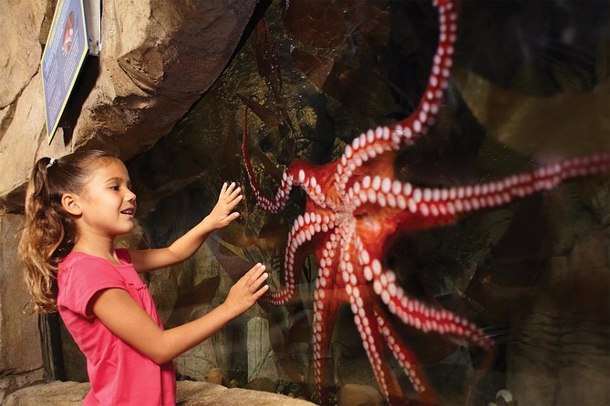 SEA LIFE Aquarium San Antonio Admission Ticket - Who should book SEA LIFE San Antonio (and who might want a different fit)?
