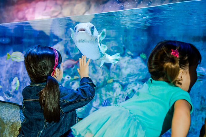 SEA LIFE Aquarium San Antonio Admission Ticket - Should you book this SEA LIFE San Antonio ticket?