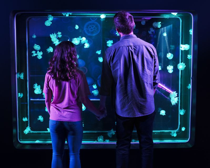 SEA LIFE Arizona Aquarium General Admission - The circuit: how the aquarium flows from tank to tank