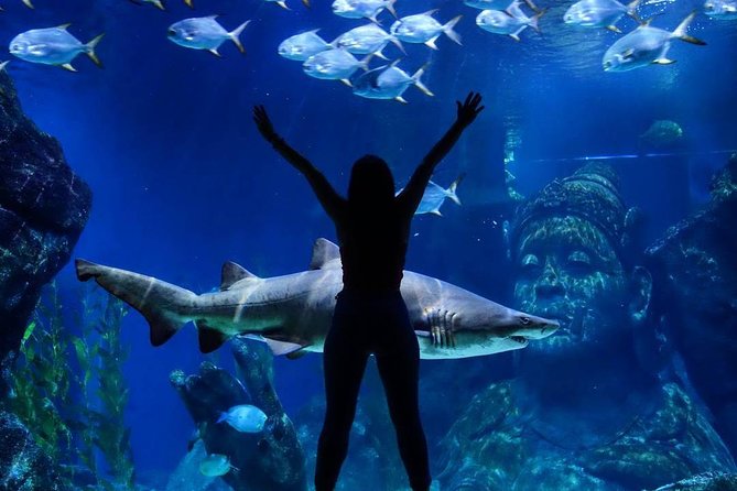 Sea Life Bangkok Ocean World Tickets - What Makes the Aquarium Work for Families (And Not Just Photos)