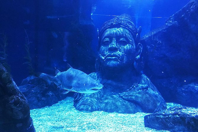 Sea Life Bangkok Ocean World Tickets - Price and Value: Is $44 Worth It?