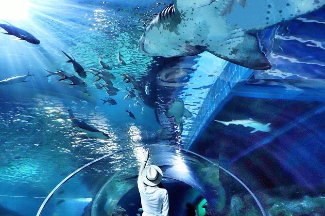 Sea Life Bangkok Ocean World Tickets - Extras Inside the Aquarium: What’s Optional, What’s Memorable