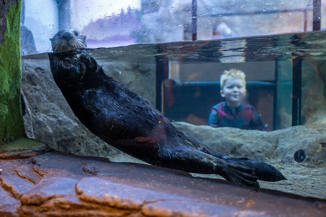 SEA LIFE Birmingham Admission Ticket - Key highlights worth planning around