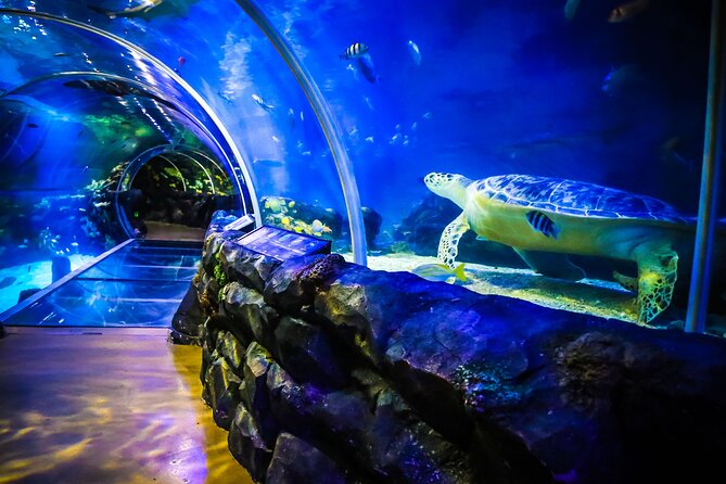 SEA LIFE Birmingham Admission Ticket - National SEA LIFE Centre Birmingham: what your route feels like