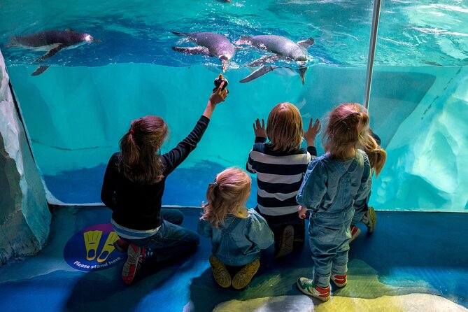 SEA LIFE Birmingham Admission Ticket - Price and value: is $26.05 a fair deal?