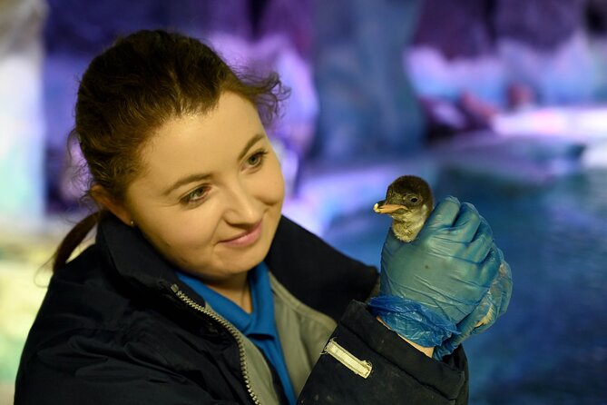 SEA LIFE Birmingham Admission Ticket - Who this ticket is best for (and who should adjust expectations)