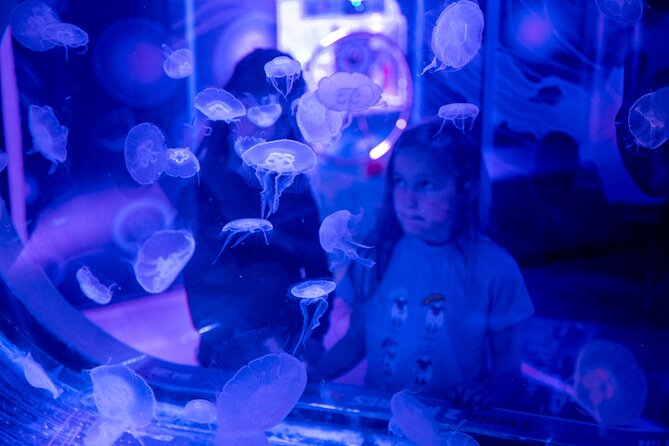 SEA LIFE Birmingham Admission Ticket - Should you book SEA LIFE Birmingham Admission?