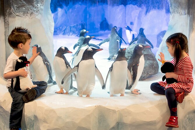 SEA LIFE Birmingham Admission Ticket - Ozzy and Ola sea otters: the exhibit that sets the tone
