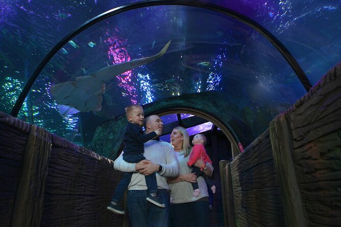 SEA LIFE Blackpool Admission Ticket - Pre-Booked SEA LIFE Blackpool Entry: Start When You Want