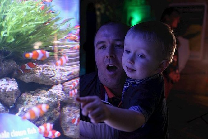 SEA LIFE Blackpool Admission Ticket - Rock Pools and North West Shoreline: The Best “First Wow” Moment