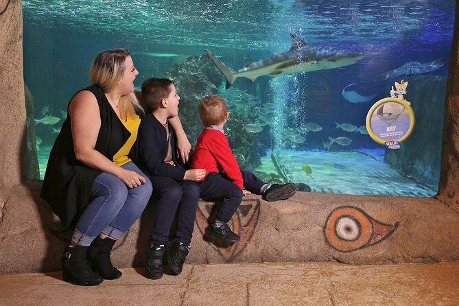 SEA LIFE Blackpool Admission Ticket - Submarine Ride-Style Viewing: Jellyfish and Eel Depths