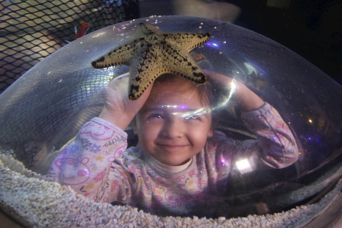 SEA LIFE Blackpool Admission Ticket - Timing That Works: How to Get More Out of 1 to 2 Hours