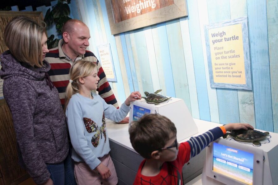 SEA LIFE Blackpool Entrance Ticket - Key things to know before you go