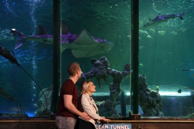 SEA LIFE Blackpool Entrance Ticket - Your 1.5–2 hour route (and how to make it last all day)
