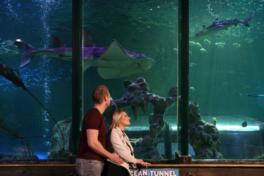 SEA LIFE Blackpool Entrance Ticket - Your 1.5–2 hour route (and how to make it last all day)