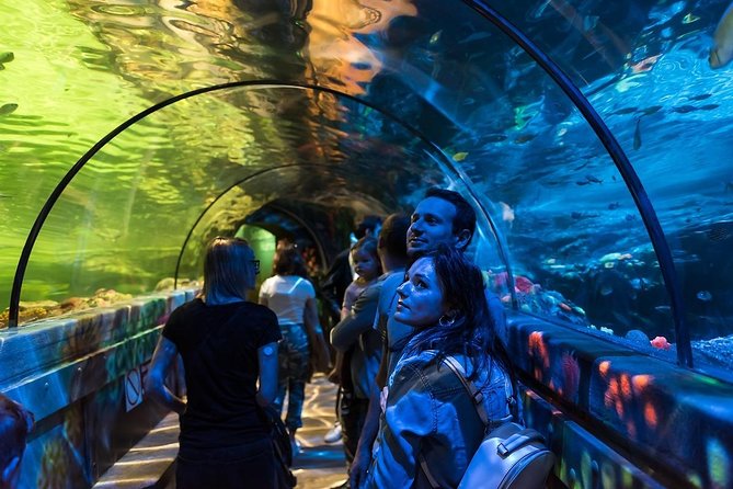 Sea Life Brighton Admission Ticket - Your Day Plan: How to Use the All-Day Entry Well