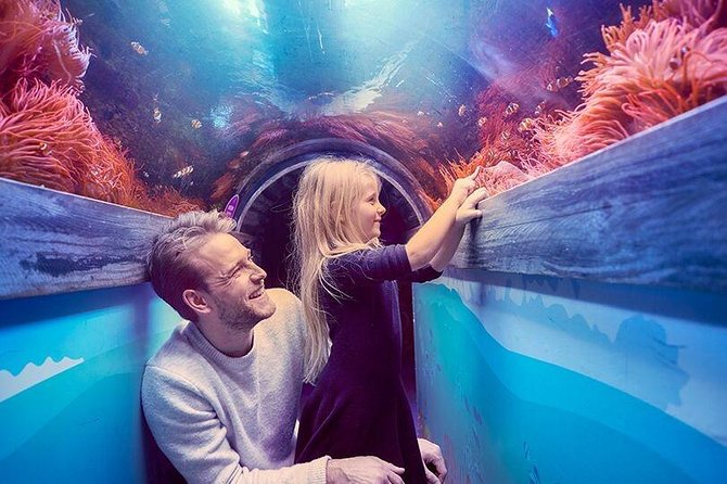 Sea Life Brighton Admission Ticket - Sharks, Rays, and the Big-View Aquariums