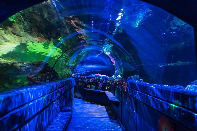 Sea Life Brighton Admission Ticket - Bio-Florescent Shore and Caves of the Deep