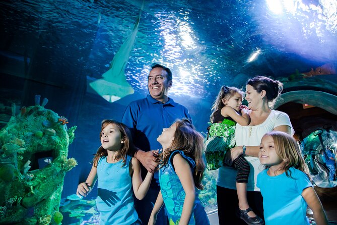 Sea Life Charlotte Concord Aquarium Admission Ticket - Key Things You’ll Want to Know Up Front