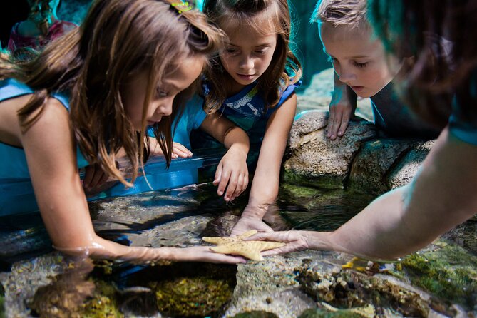 Sea Life Charlotte Concord Aquarium Admission Ticket - Hands-On Moments and Extra Family Fun