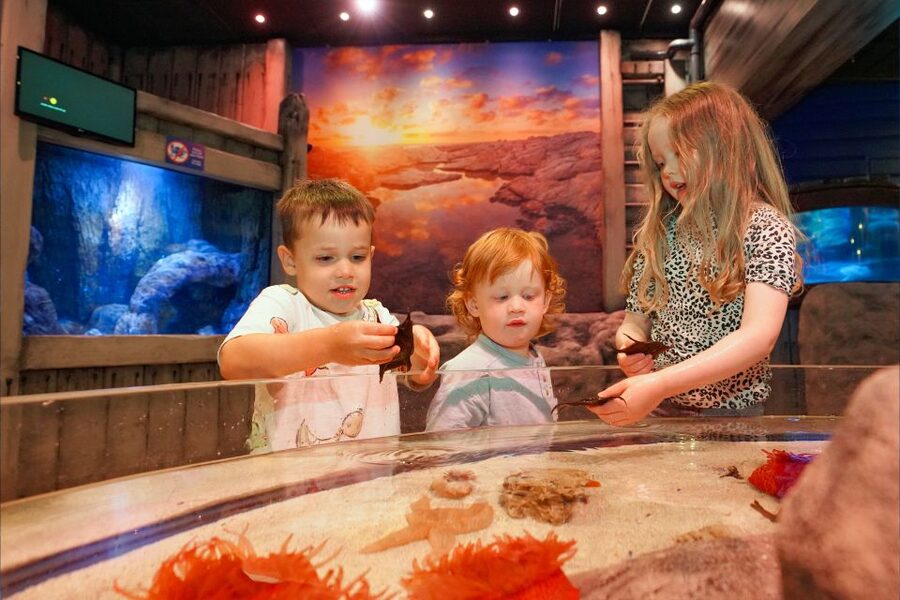 SEA LIFE Great Yarmouth - Key things I’d plan for