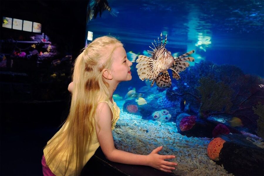 SEA LIFE Great Yarmouth - First impressions at SEA LIFE Great Yarmouth