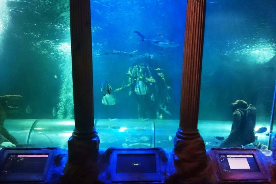 SEA LIFE Great Yarmouth - Who should book this, and who might want a different plan?