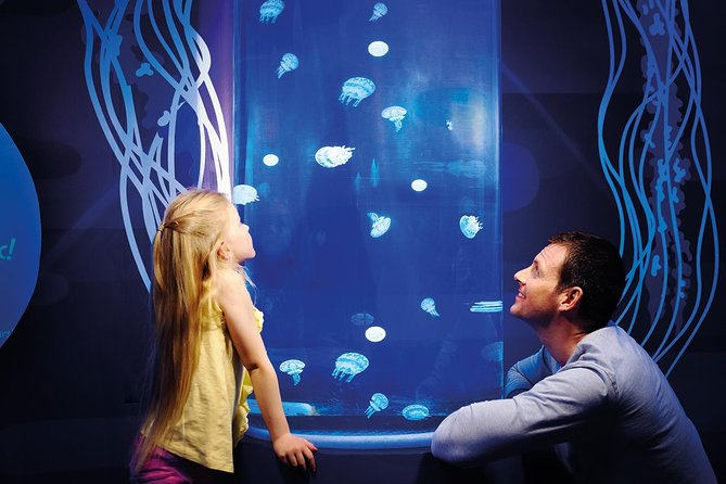 SEA LIFE Great Yarmouth General Admission - Getting Into SEA LIFE Great Yarmouth: what your ticket really covers
