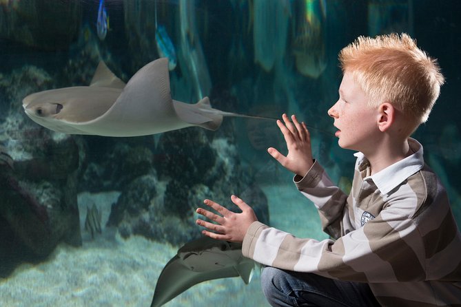 SEA LIFE Hannover Ticket - Tropical Rainforest and the jungle ranger moment