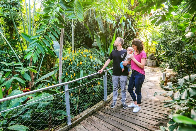 SEA LIFE Hannover Ticket - Interactive and kid-friendly (without turning stressful)