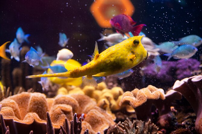 SEA LIFE Hannover Ticket - The main itinerary loop: SEA LIFE Hannover’s habitat journey
