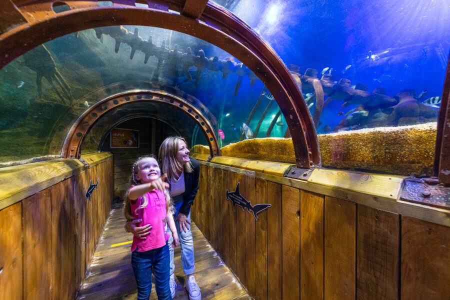 Sea Life Hunstanton - Price and value: is $21 a good deal?