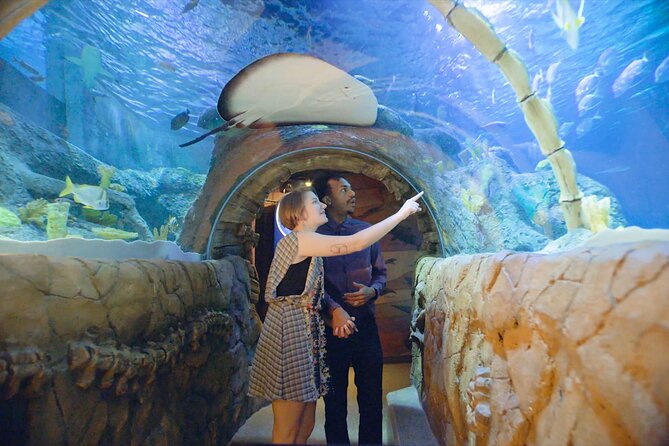 SEA LIFE Kansas City Aquarium Admission Ticket - SEA LIFE Kansas City at Crown Center: a family-friendly location with options