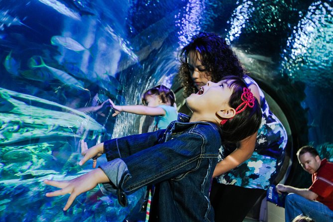 SEA LIFE Kansas City Aquarium Admission Ticket - Time planning for a 2-hour ticket: how crowds change everything