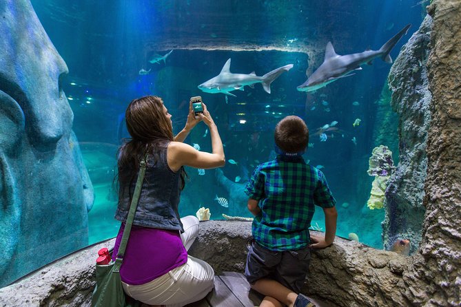 SEA LIFE Kansas City Aquarium Admission Ticket - Combo days with LEGOLAND Discovery Center: fun add-on or rule-trap