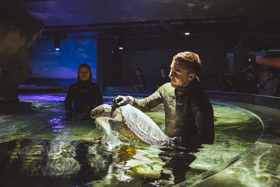 Sea Life Kelly Tarlton's Aquarium General Admission - Seahorse Kingdom and the Spiny Sea Dragon: A Rare Ticket Into Something Uncommon