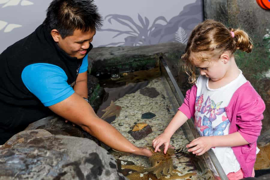 Sea Life Kelly Tarlton's Aquarium General Admission - Animal Talks Included: How to Make Your Visit Feel More Guided
