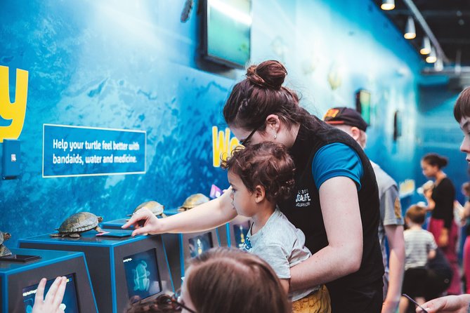 SEA LIFE Kelly Tarlton's General Admission - How long to plan: a 1-hour ticket that can turn into 2