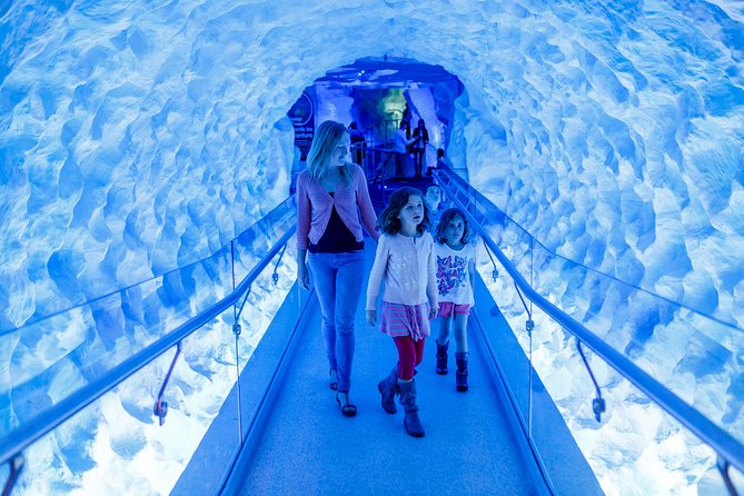 SEA LIFE Kelly Tarlton's General Admission - Getting there and timing: Thursday to Monday is your key planning rule