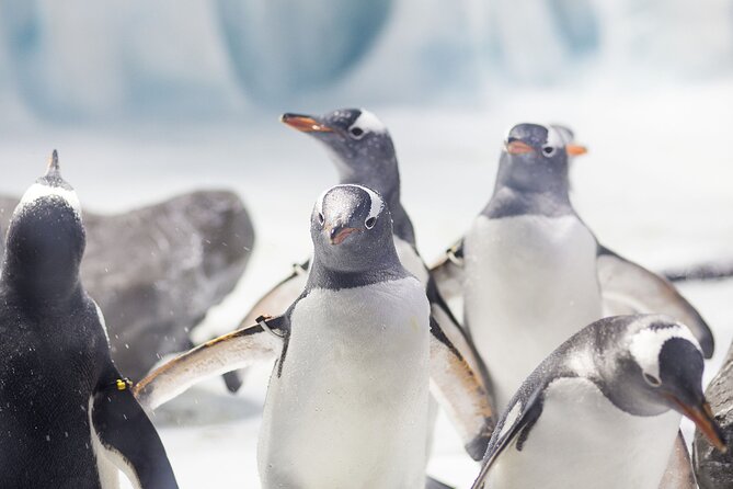 SEA LIFE Konstanz Admission Ticket - Key Highlights Worth Your Time