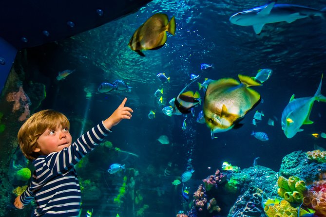 SEA LIFE Konstanz Admission Ticket - Your Route Inside: What 1–2 Hours Really Means