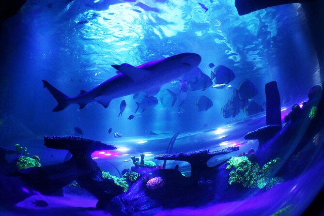 SEA LIFE Konstanz Admission Ticket - The Aquarium’s Themed Water-Story (From Rhine to Ice)