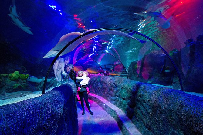 SEA LIFE Loch Lomond General Admission Ticket - What You’re Really Paying For at SEA LIFE Loch Lomond