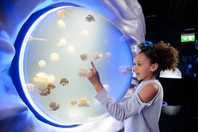 SEA LIFE London Aquarium Admission Ticket - Key things to know before you buy