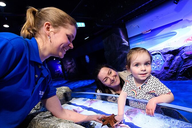 SEA LIFE London Aquarium Admission Ticket - Shark Reef Encounter and live moments: seeing sharks without rushing everything