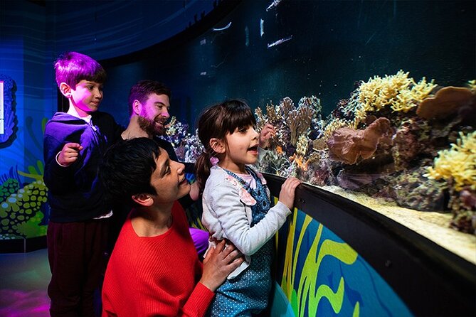 SEA LIFE London Aquarium Admission Ticket - Price and value: is $38.48 a fair deal?